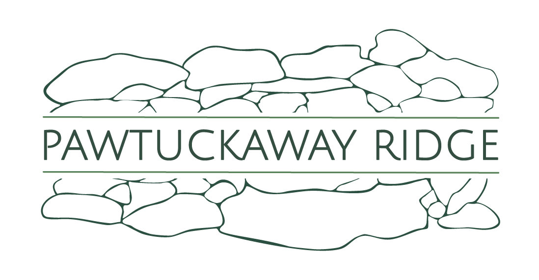 Marie Holt, REALTOR®, Associate Broker - Pawtuckaway Ridge